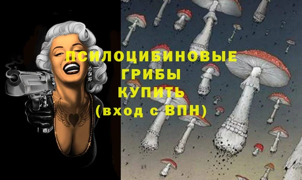 стаф Арсеньев