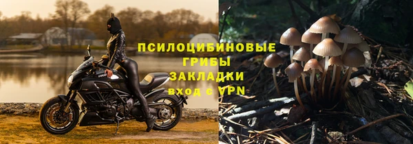 стаф Арсеньев