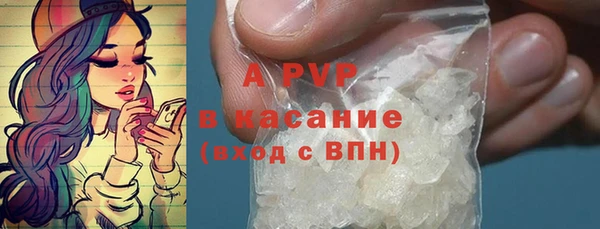стаф Арсеньев