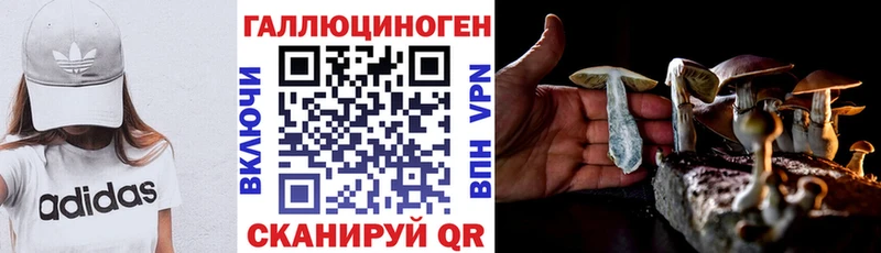 mega ТОР  Менделеевск  Галлюциногенные грибы GOLDEN TEACHER 
